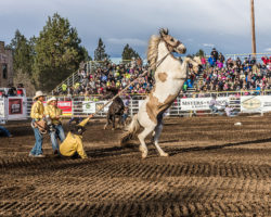 Saturday evening performace of the 2017 Sisters Rodeo© 2017  Gary N. Miller, Sisters Country Photography