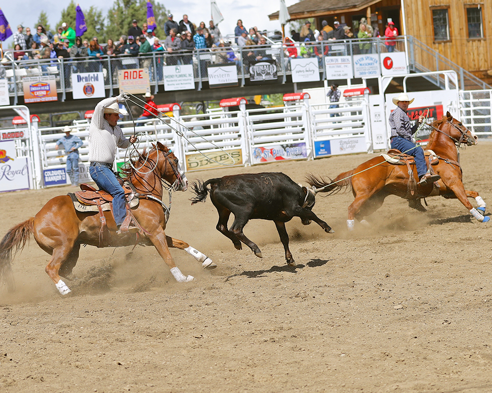 Team Roping - Sisters Rodeo