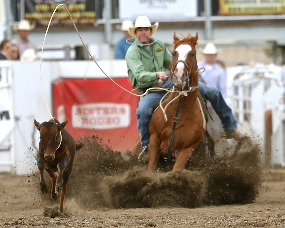 Tie Down Roping - Sisters Rodeo